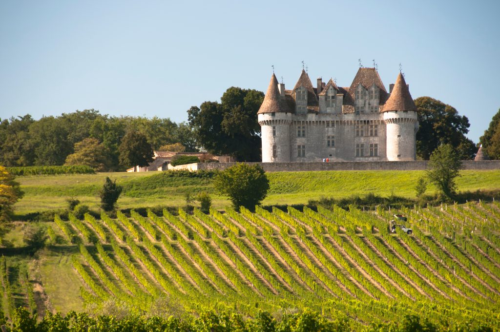 Image de vignes avec un château au loin