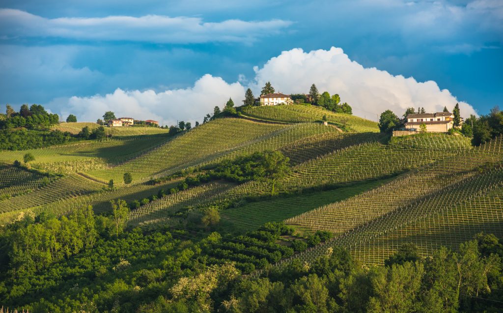 Vignobles des Langhe, Piémont, patrimoine mondial de l'UNESCO